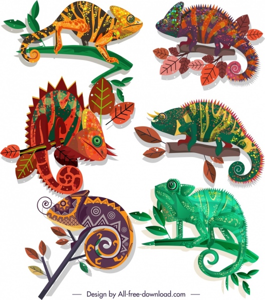Iconos de especies camaleónicas boceto plano colorido