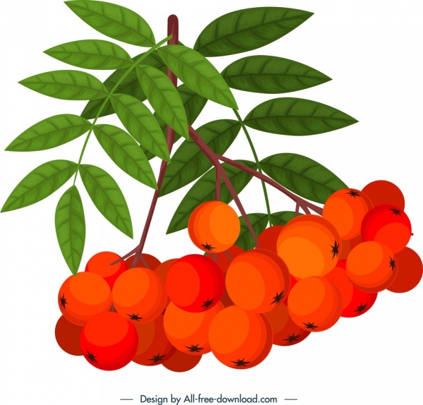 ícone da fruta da cereja design verde vermelho