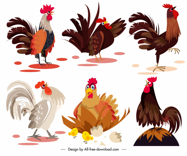 ícones de frango desenho animado colorido