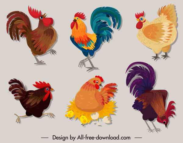 ícones de frango esboço clássico colorido