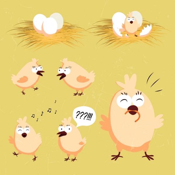 Elementos de diseño de los iconos de huevo polluelos paja diseño de dibujos animados