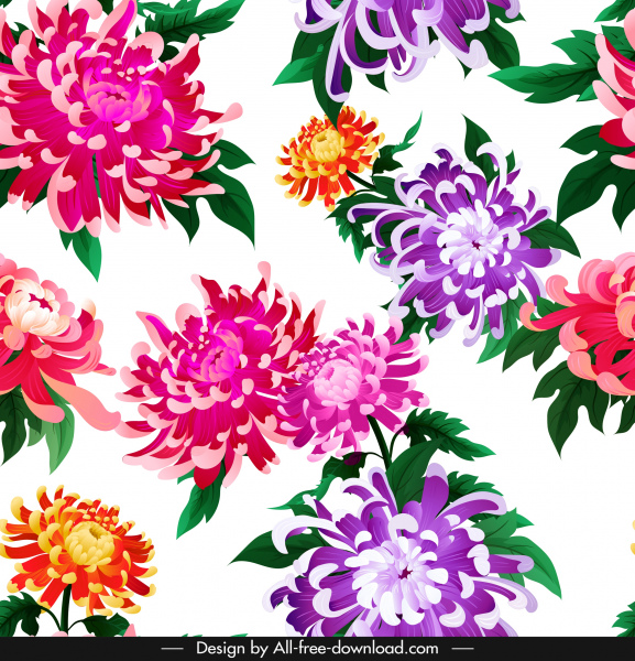 菊花植物區系背景明亮多彩的裝飾綻放的素描