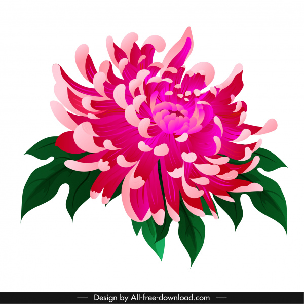 chrysanthème flore icône classique coloré design