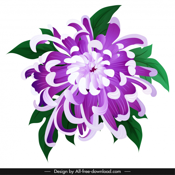 kelopak bunga krisan lukisan violet dekorasi mekar sketsa