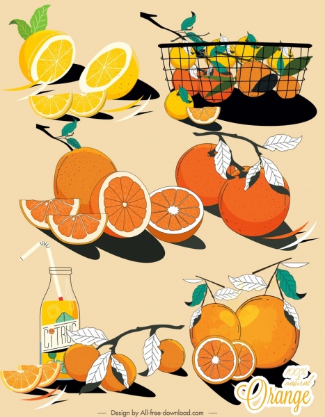 柑橘類の果物のアイコンは、古典的な手描きのデザインを着色