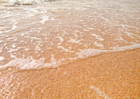 acque cristalline e spiaggia sfondo vettoriale