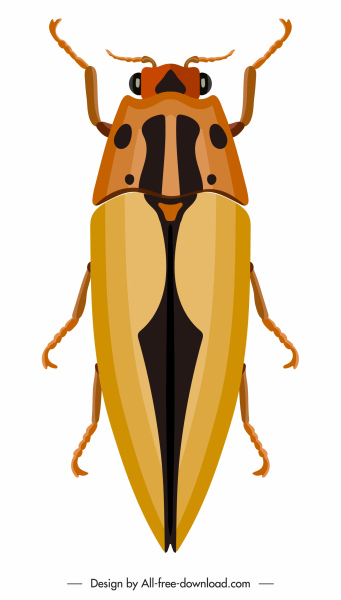 scarafaggio insetto icona colorato avvicinamento schizzo