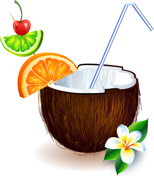 Kokos-Frucht