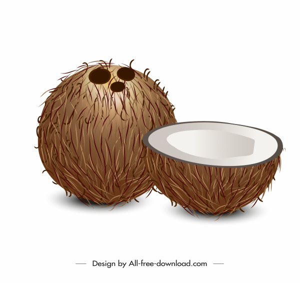 Kokosnuss-Ikone Moderne 3D-Skizze