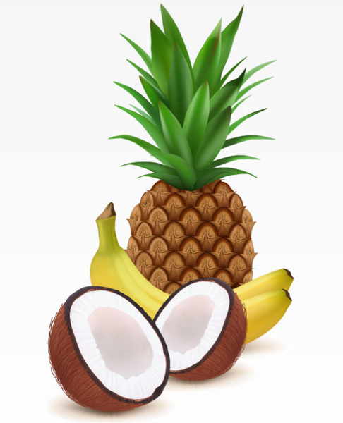 noix de coco, ananas et banane vecteur