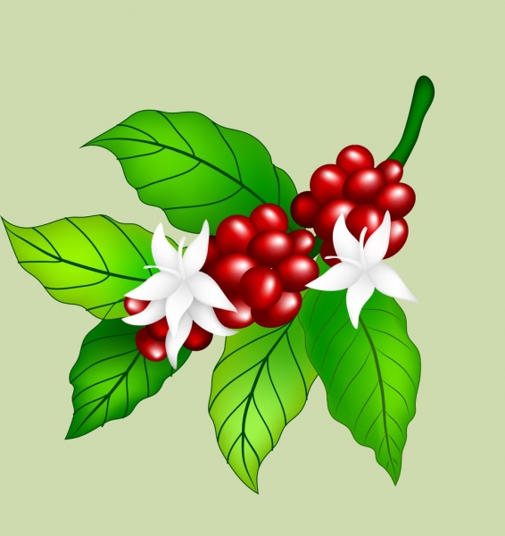 biji kopi bunga ikon desain warna-warni mengkilap