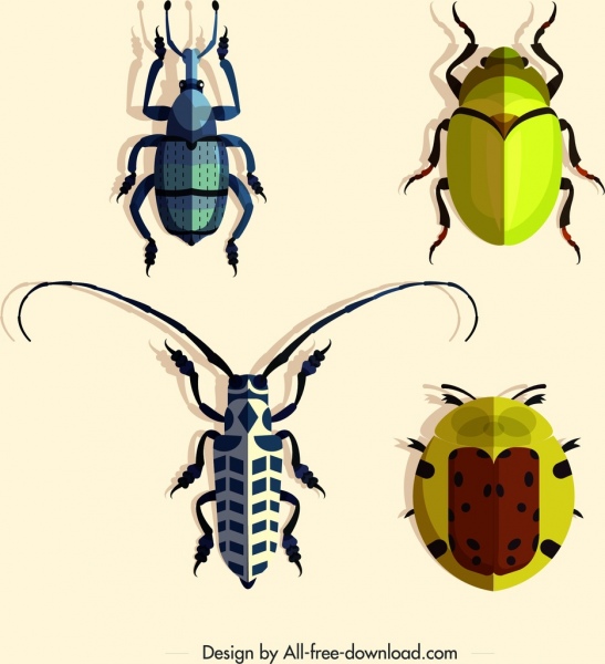 coleopterous serangga ikon warna-warni bug desain