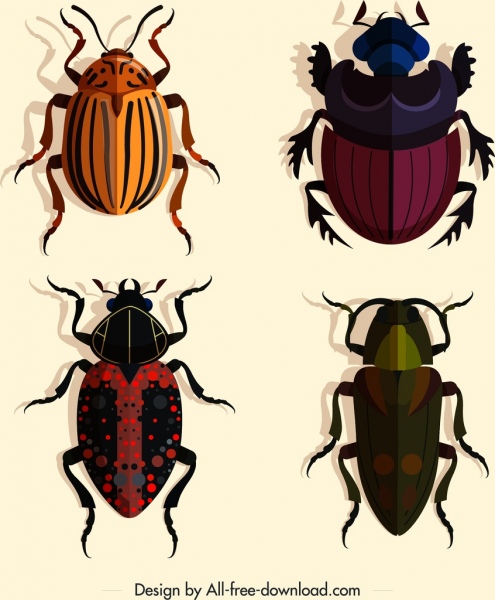 ícones de insetos coleópteros design colorido escuro