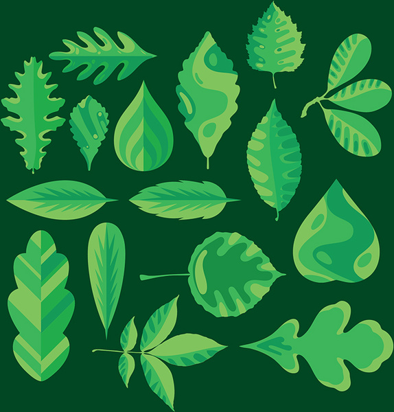 Sammlung von verschiedenen Blättern