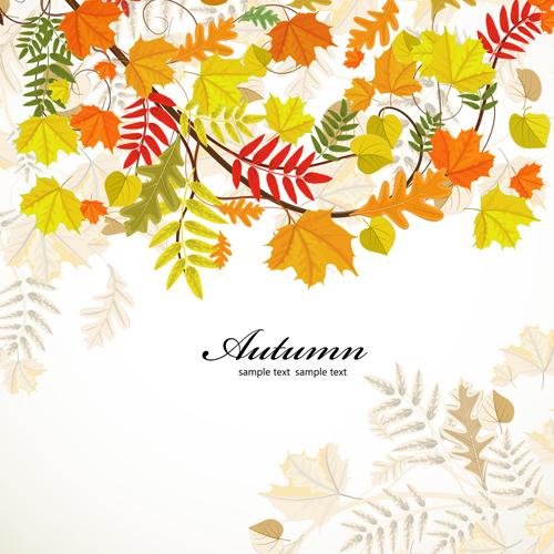 autunno colorato foglie sfondi vettoriale
