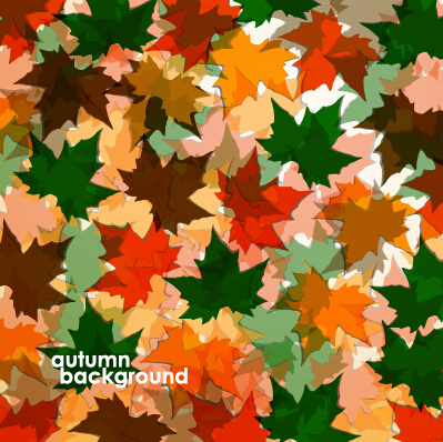fogli di autunno colorato sfondi vector