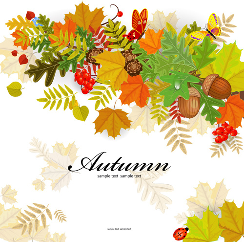 folhas de Outono colorido com vetor de origens de frutificação