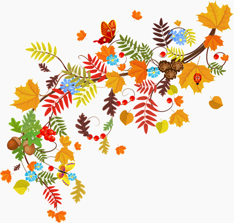 fogli di autunno colorato con il vettore di fruttificazione sfondi gratis