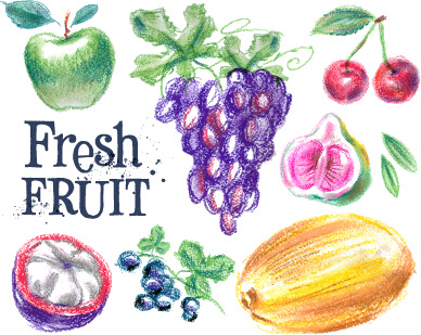 vetores de frutas desenhadas coloridas