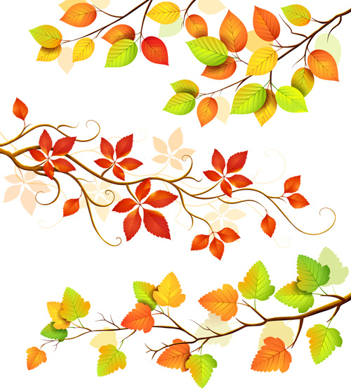 conjunto de vetor de folhas coloridas