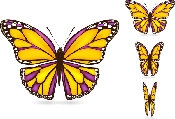 مجموعة الفراشات الملونة مع التوضيح النواقل واقعية