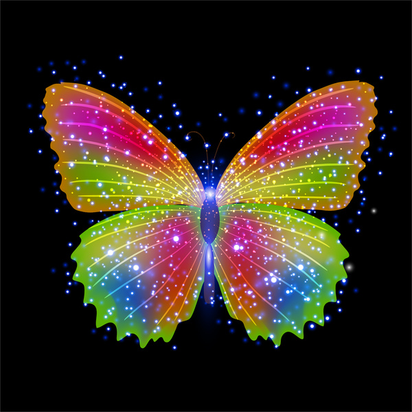 彩色蝴蝶背景向量