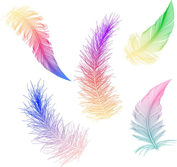 colección de plumas de colores