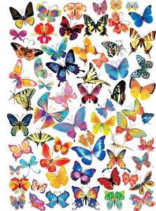kupu-kupu berwarna-warni bunga seni set vektor