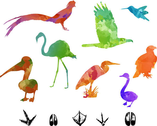 鳥類彩色剪影向量圖解