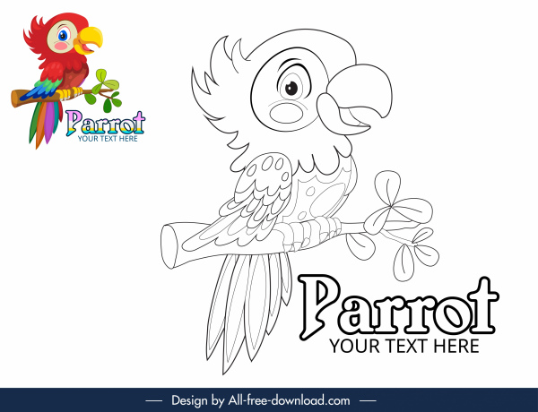 mewarnai elemen desain buku handdrawn parrot sketsa