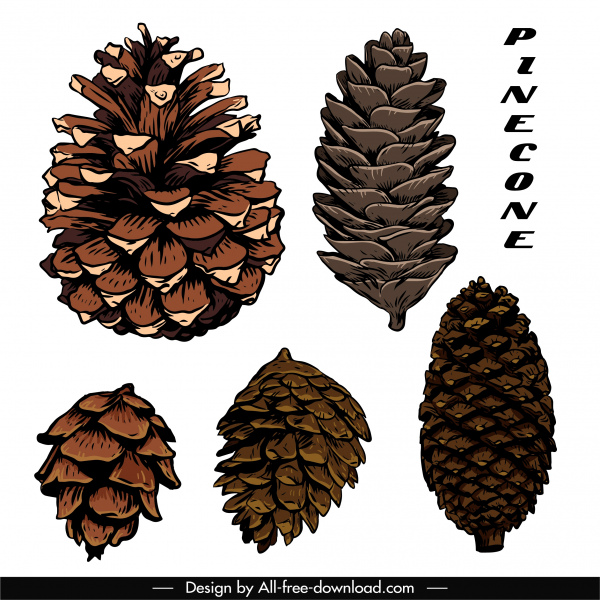 iconos de cono de pino conífera clásico boceto dibujado a mano