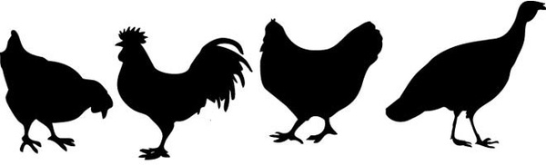Cook dan ayam vektor silhouette