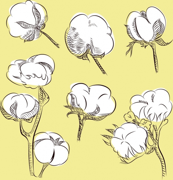 flores de algodão fundo contorno de mão desenhada