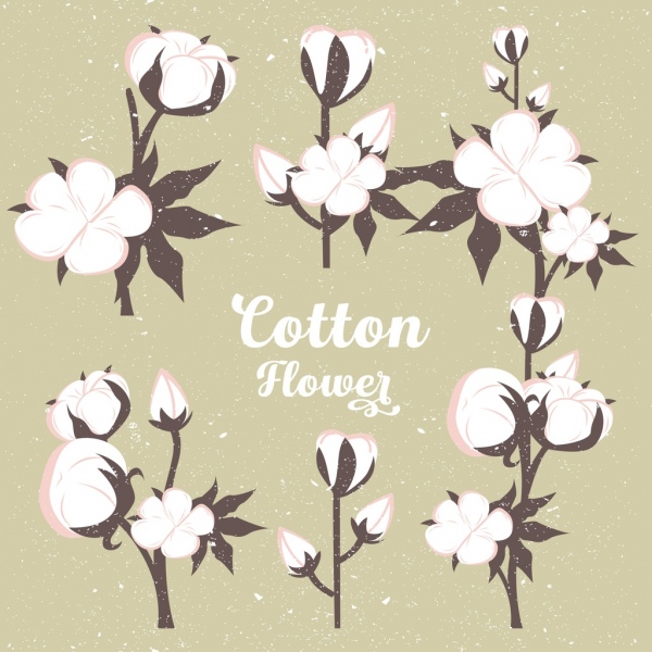 Flores de algodon color Vintage diseño de fondo