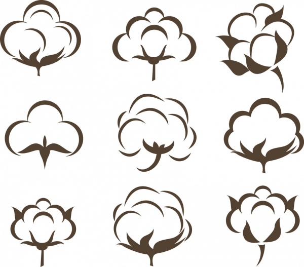 زهور القطن مجموعة ايقونات مختلفة رسم مسطح
