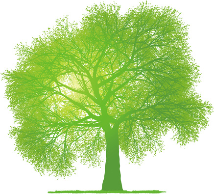 ต้นไม้สีเขียวที่สร้างสรรค์ออกแบบเวกเตอร์กราฟิก