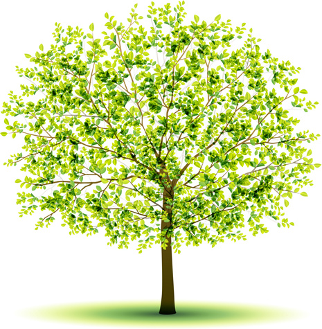yaratıcı yeşil ağaç tasarım vektör grafikleri