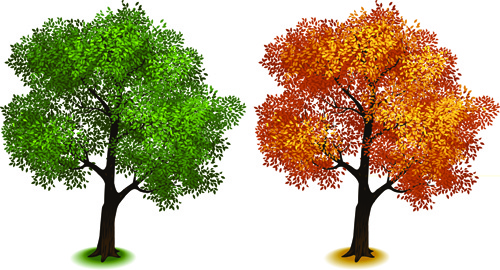 kreative isometrische Bäume Design Vektor