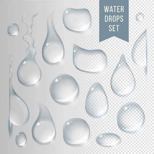 Crystal Clear Water Drops Vector Illustration