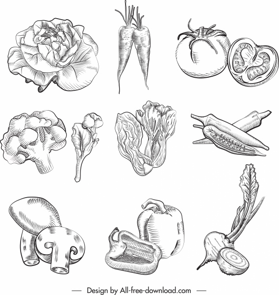 ingredientes culinários ícones desenhos de legumes desenhados à mão esboço