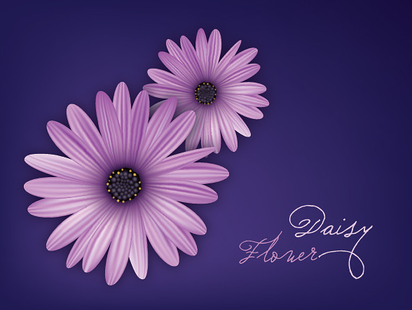 Daisy bunga vektor grafis