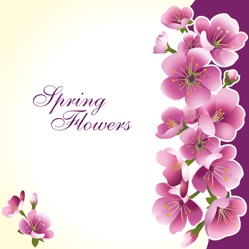 Primavera de flor-de-rosa escuro fundo vector conjunto