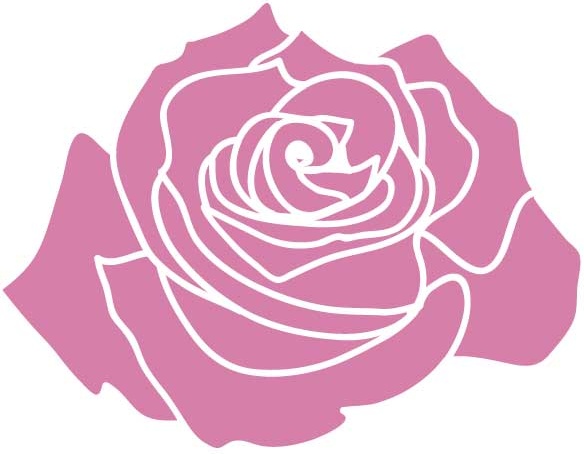 rose foncé rose