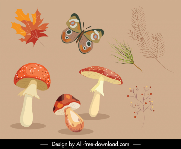 elementos decorativos de diseño de otoño mushroon mariposas plantas boceto