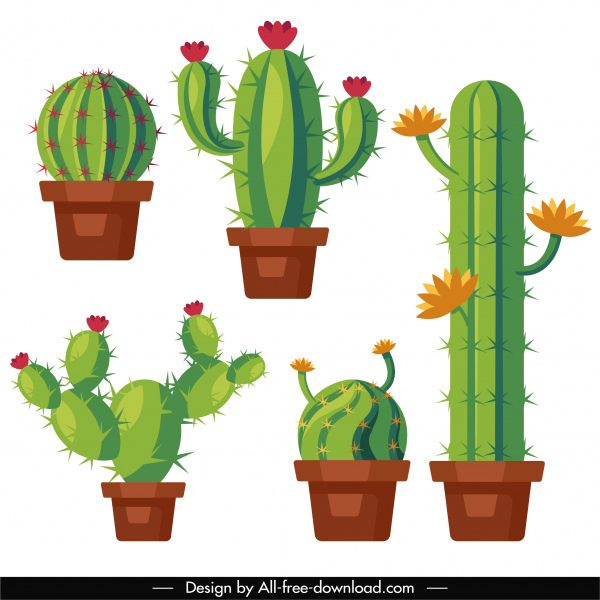 dekorative Kaktus Zimmerpflanzen Symbole farbige flache Skizze