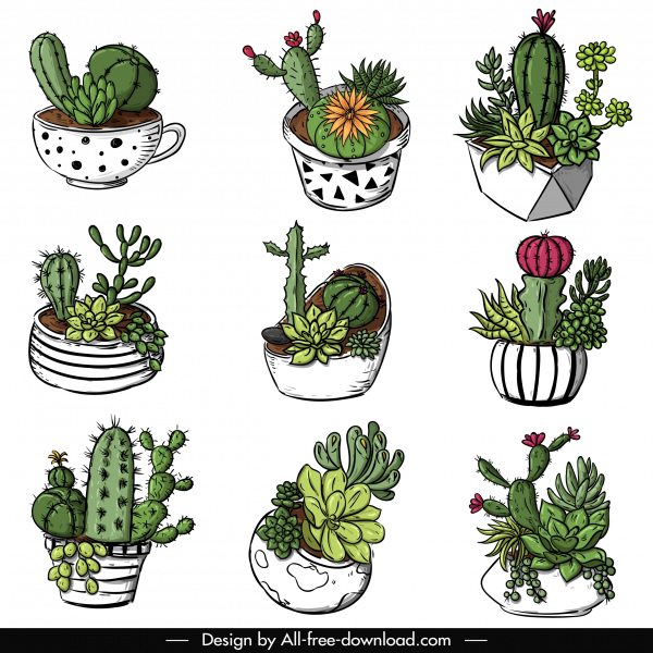 icônes décoratives de pot de cactus l'esquisse colorée colorée à la main