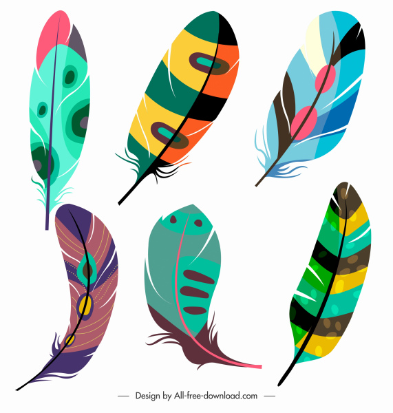 ícones de penas decorativas esboço fofo colorido