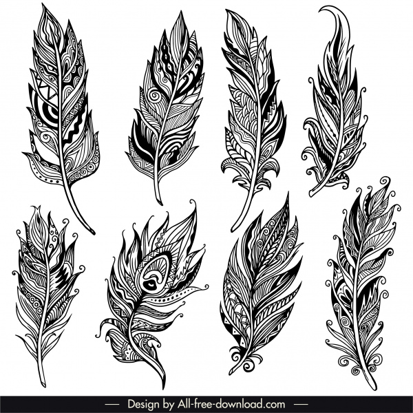 iconos de plumas decorativas retro decoración tribal dibujado a mano boceto