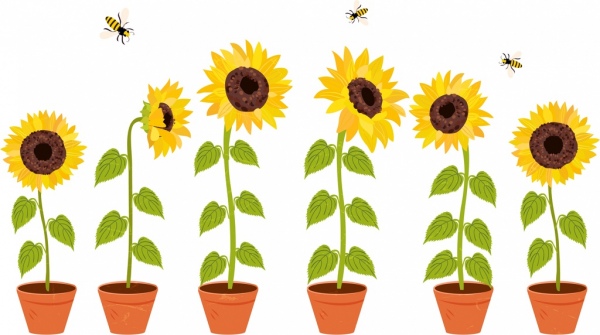 dekoratif flora menggambar sunflower pot ikon lebah madu