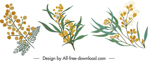 dekoratif çiçek simgeleri klasik zarif handdrawn tasarım